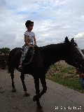 image0005.jpg