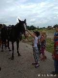 image0006.jpg