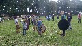 image0001.jpg