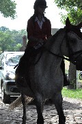 image0066.jpg