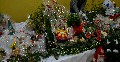 image0001.jpg