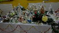 image0004.jpg
