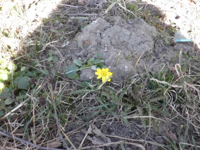 image0010.jpg