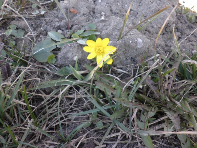 image0011.jpg