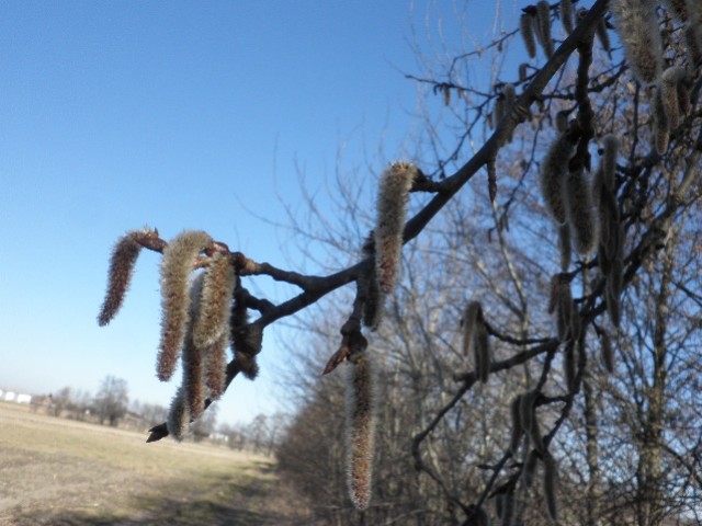 image0018.jpg