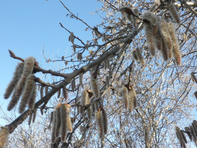 image0019.jpg