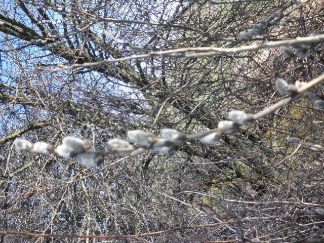 image0020.jpg