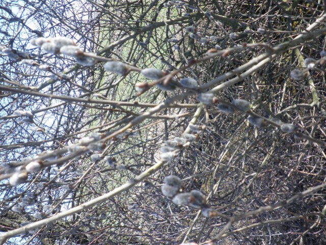 image0021.jpg