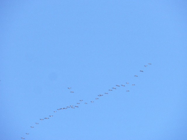 image0022.jpg