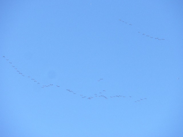 image0023.jpg