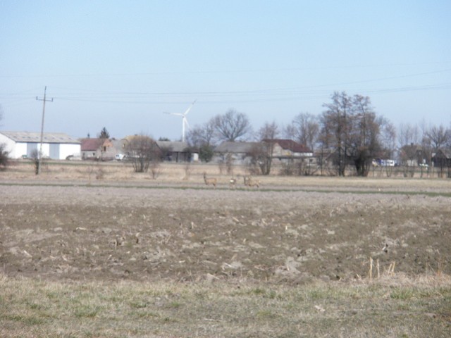 image0024.jpg