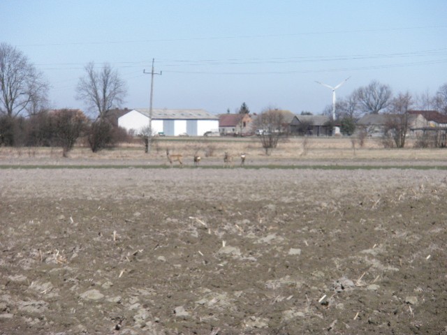 image0025.jpg