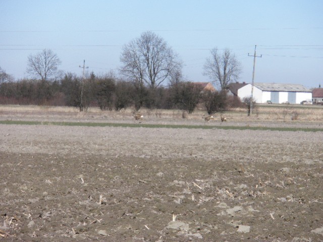 image0026.jpg