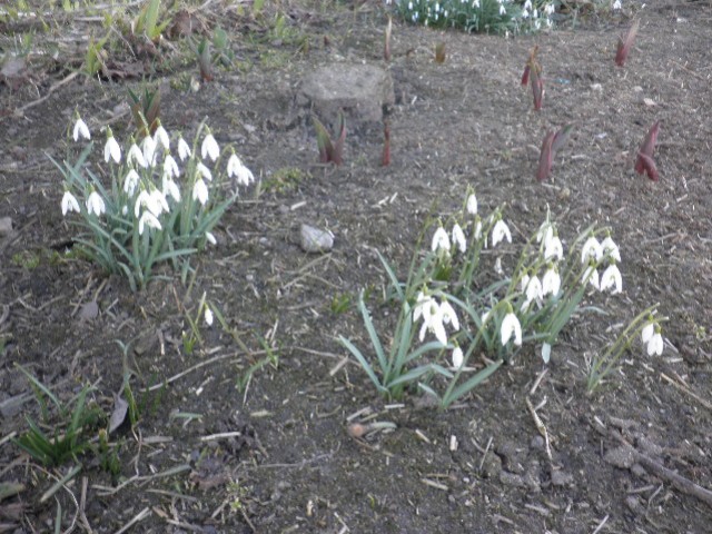 image0028.jpg