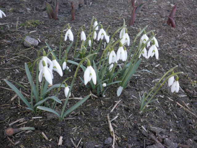 image0029.jpg