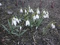 image0029.jpg