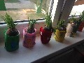 image0006.jpg