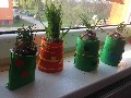 image0007.jpg