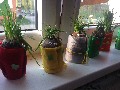 image0008.jpg
