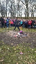 image0029.jpg