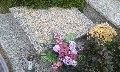 image0000.jpg