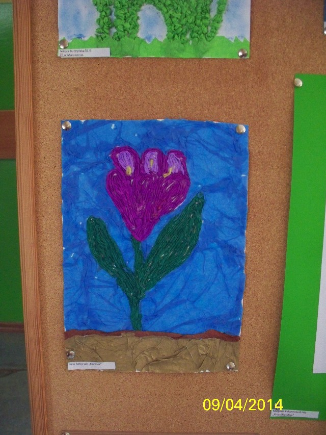 image0007.jpg