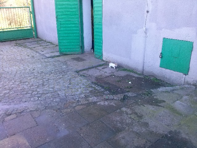 image0007.jpg