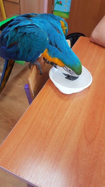 20190208_121415