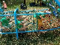 image0019.jpg