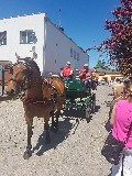 image0038.jpg