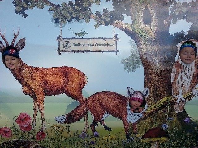 image0034.jpg
