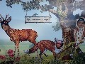 image0034.jpg