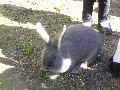 image0027.jpg