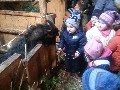 image0002.jpg