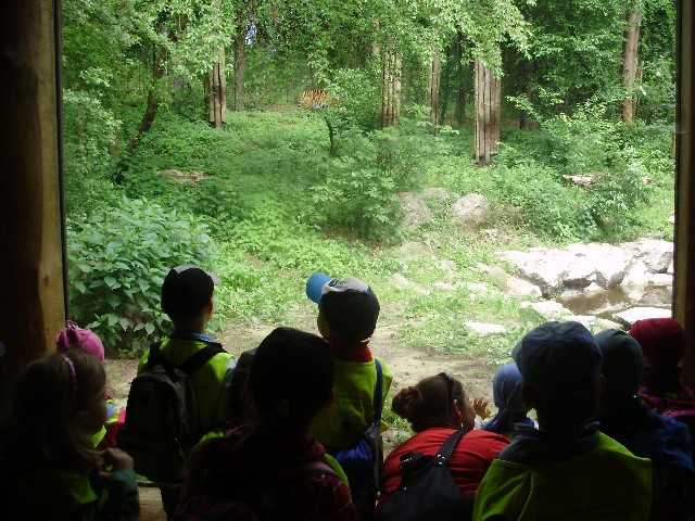 image0016.jpg